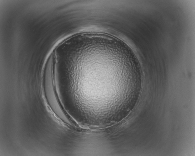 X0000081351008200701111450