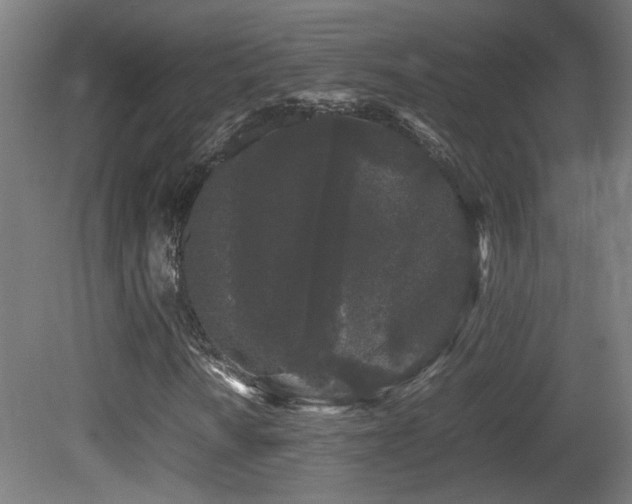 X0000081351010200701111449
