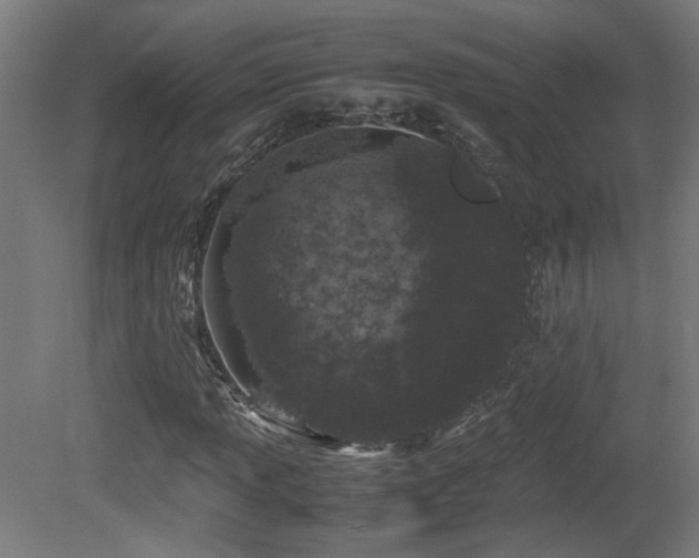 X0000081351013200701111449
