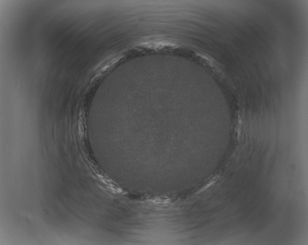 X0000081351014200701111449