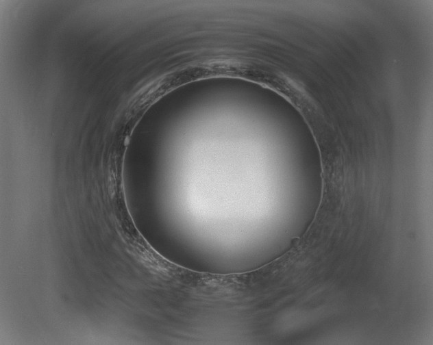 X0000081351015200701111449