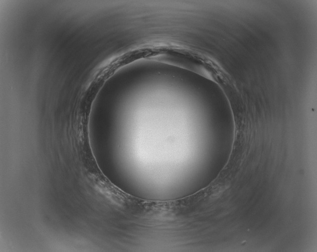 X0000081351016200701111449