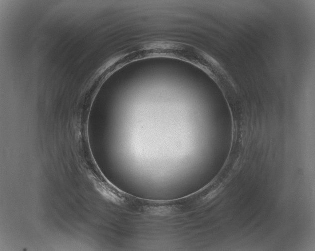 X0000081351017200701111449