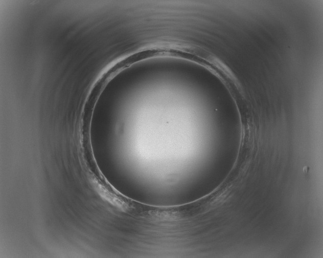 X0000081351020200701111449