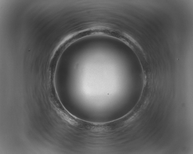 X0000081351021200701111449