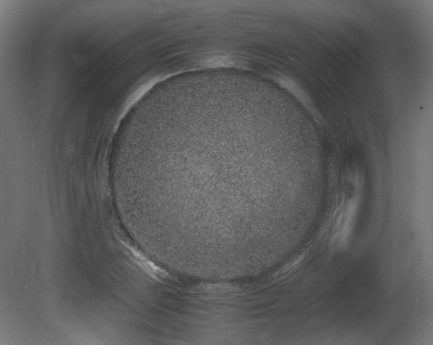 X0000081351023200701111449