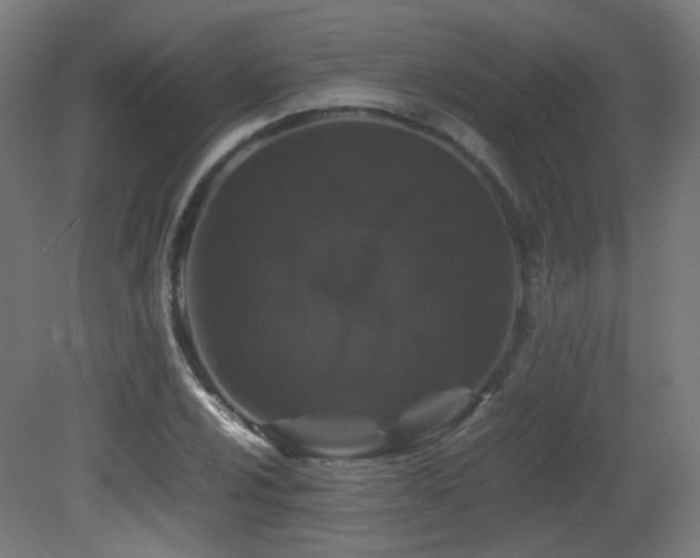 X0000081351024200701111449