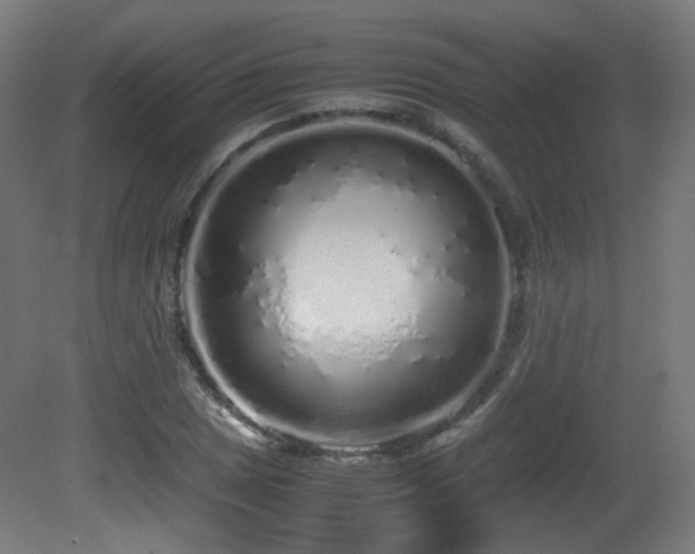 X0000081351025200701111449
