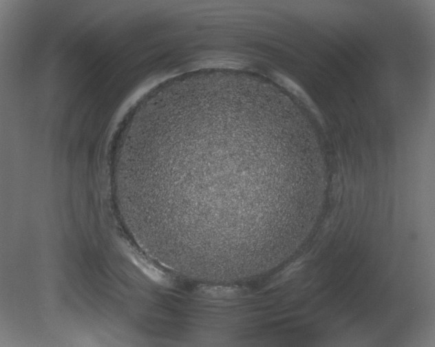 X0000081351027200701111449