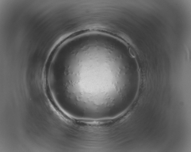 X0000081351032200701111449
