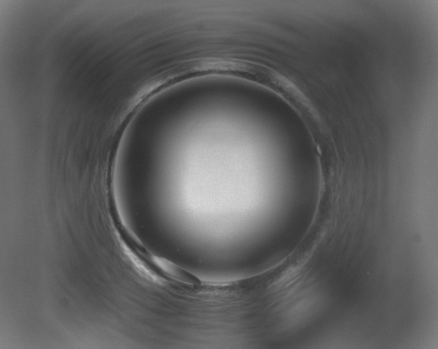 X0000081351033200701111449