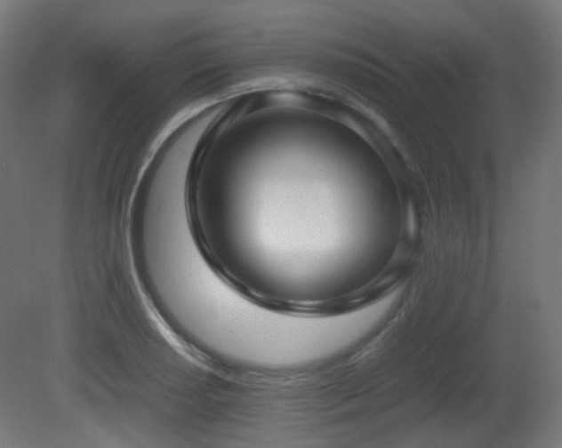 X0000081351034200701111450