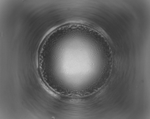 X0000081351036200701111450