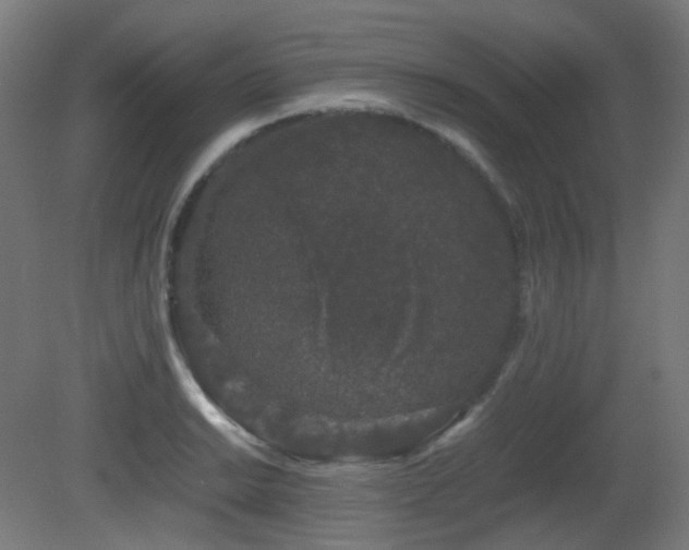 X0000081351038200701111450