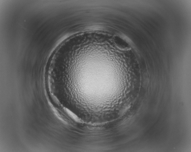 X0000081351039200701111450