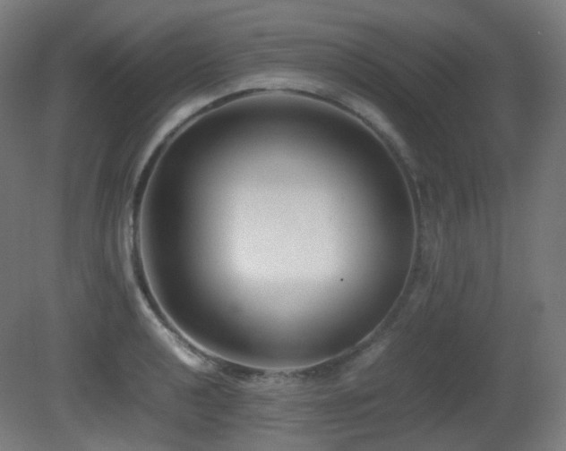 X0000081351040200701111450