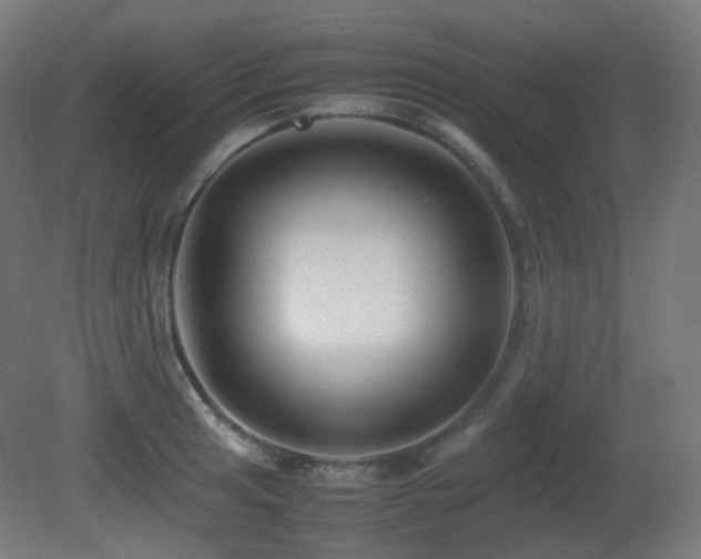 X0000081351041200701111450