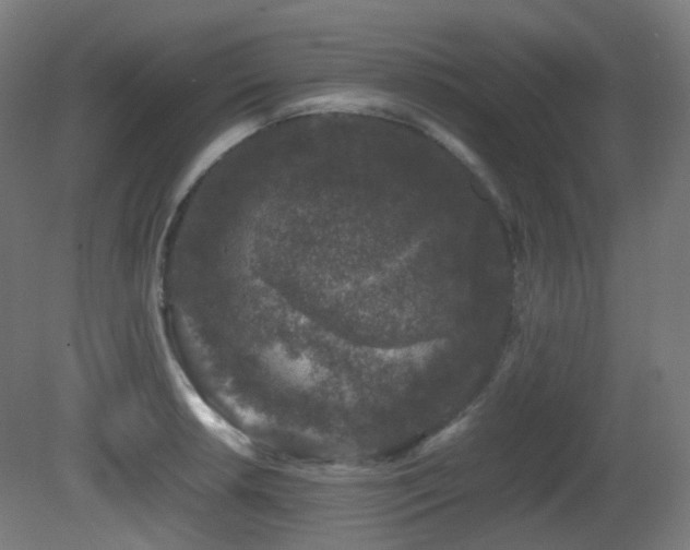 X0000081351042200701111450