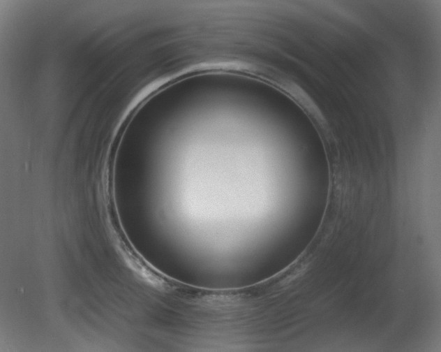 X0000081351044200701111450