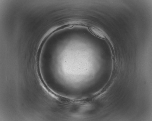 X0000081351045200701111450