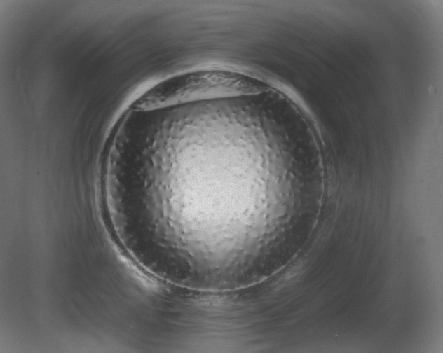 X0000081351048200701111450