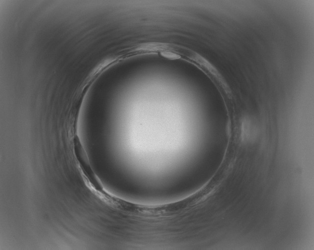 X0000081351049200701111450