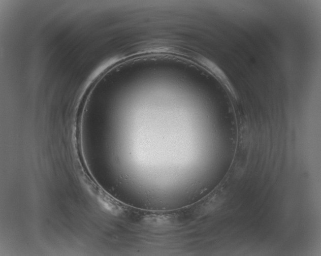 X0000081351051200701111450
