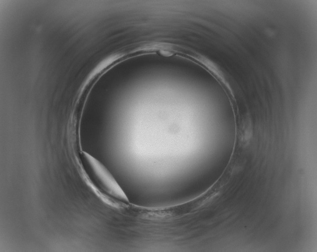X0000081351053200701111450