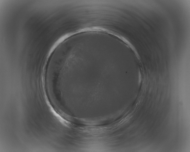 X0000081351054200701111450