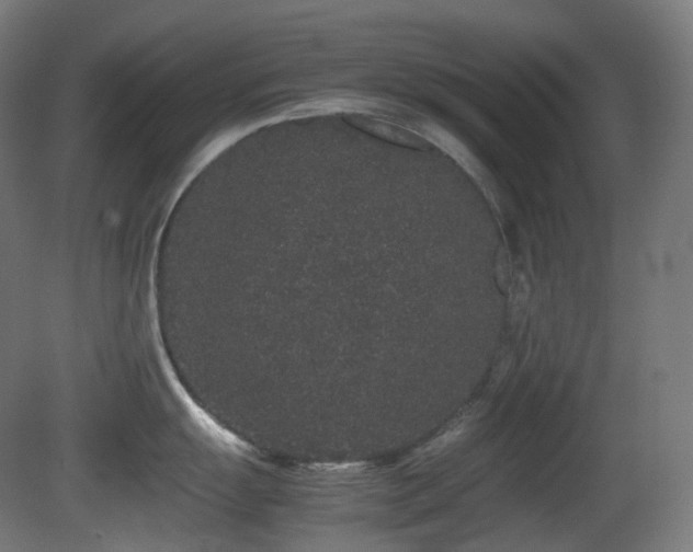 X0000081351055200701111450