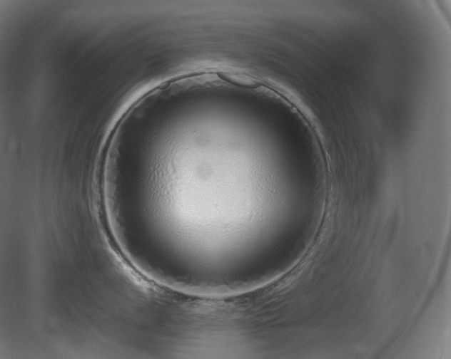 X0000081351056200701111450