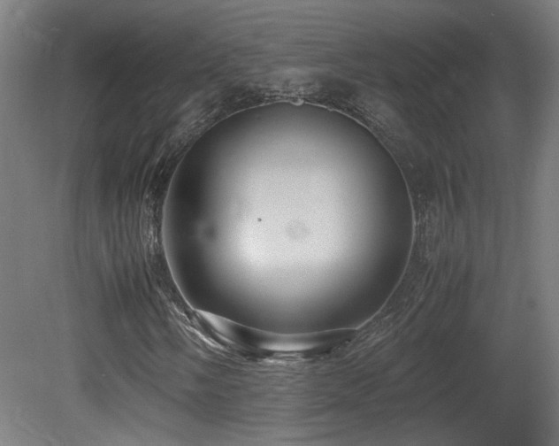X0000081351058200701111449