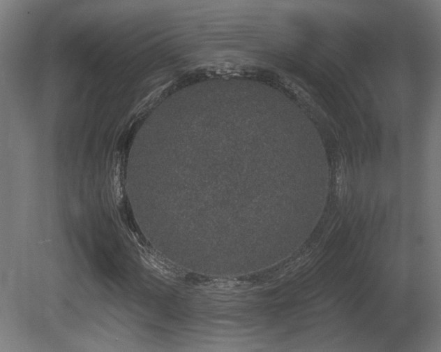 X0000081351060200701111449