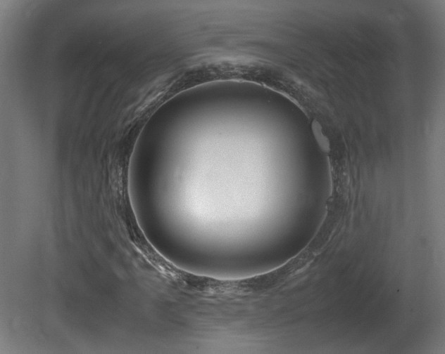 X0000081351061200701111449