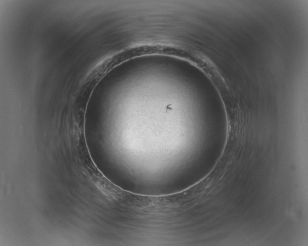 X0000081351064200701111449