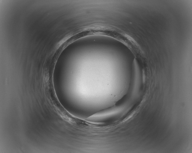 X0000081351065200701111449