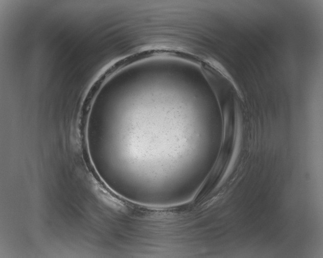 X0000081351068200701111449