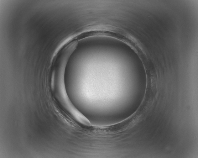 X0000081351069200701111449