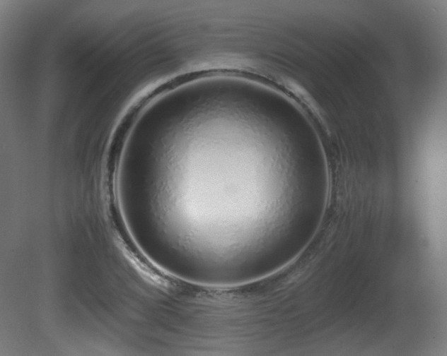 X0000081351072200701111449
