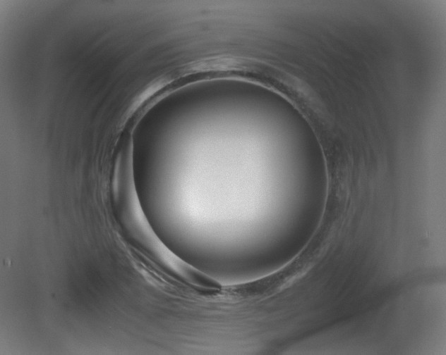X0000081351073200701111449