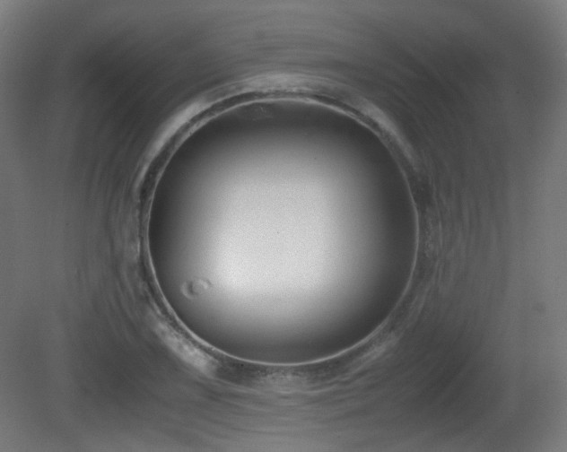 X0000081351075200701111449