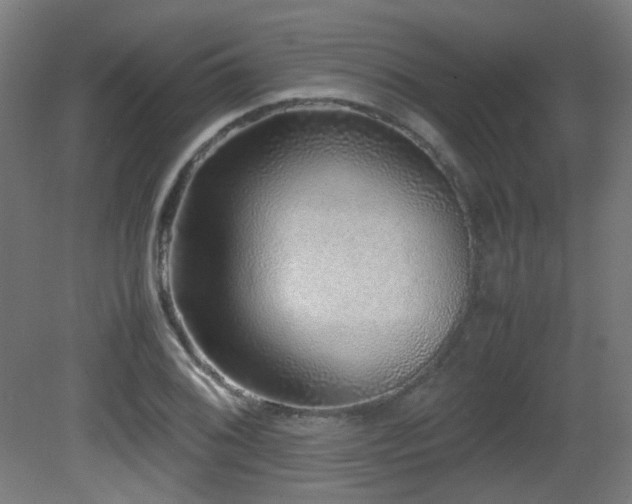 X0000081351076200701111449