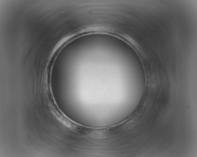 X0000081351078200701111449