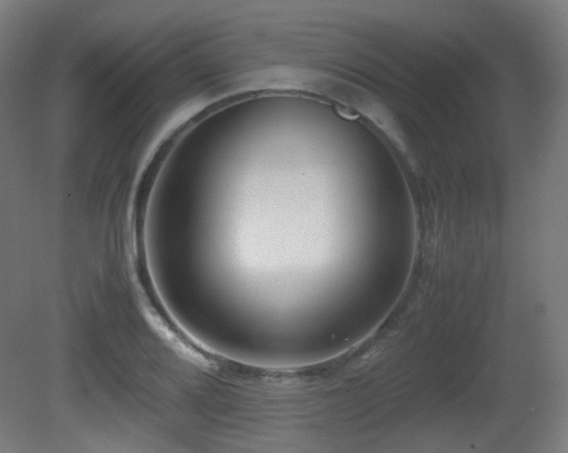 X0000081351080200701111449