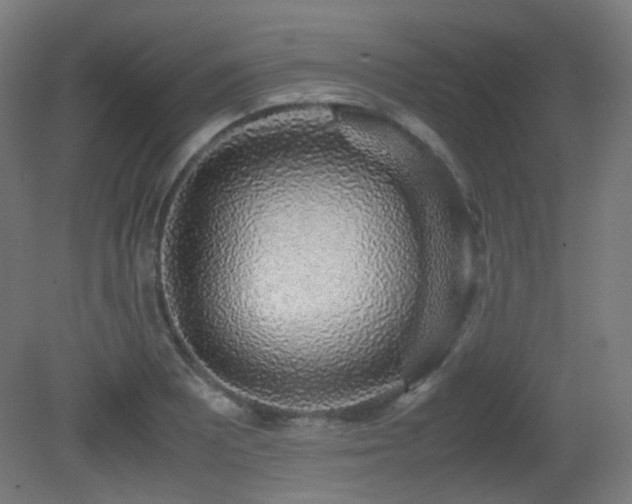 X0000081351081200701111449