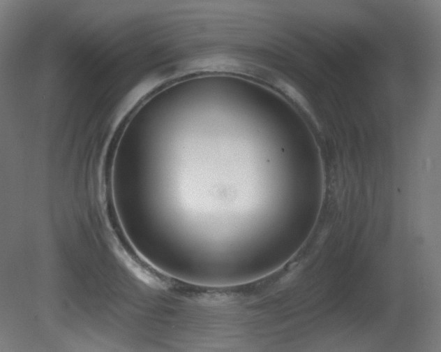 X0000081351082200701111449