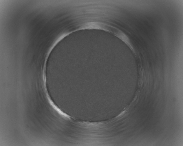 X0000081351084200701111449