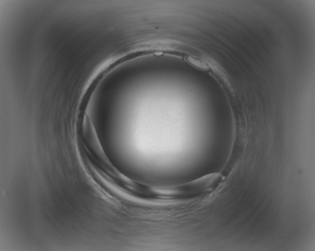 X0000081351085200701111449