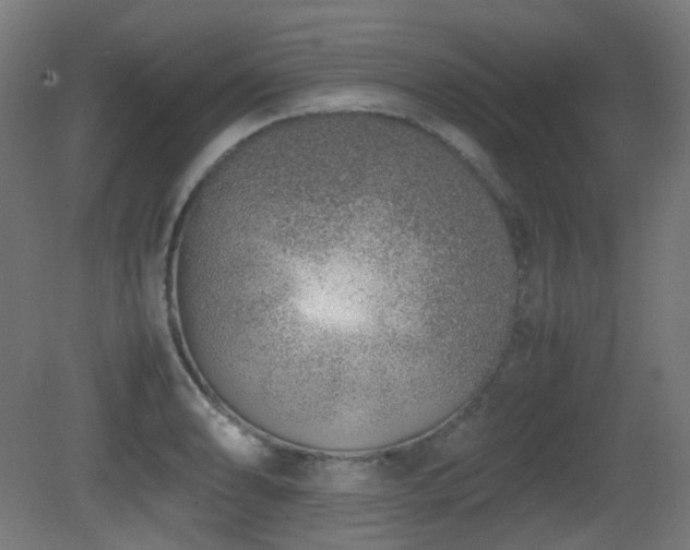 X0000081351086200701111449
