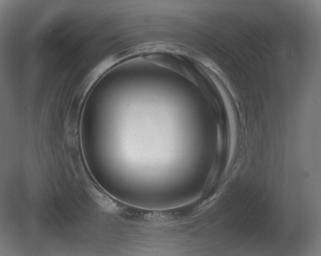 X0000081351089200701111449